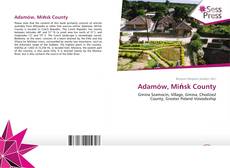 Adamów, Mińsk County kitap kapağı