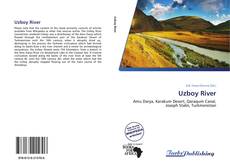 Copertina di Uzboy River