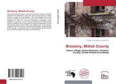 Capa do livro de Brzeziny, Mińsk County 