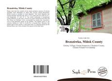 Portada del libro de Brzozówka, Mińsk County