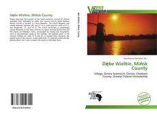 Portada del libro de Dębe Wielkie, Mińsk County