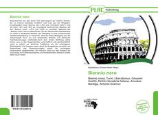 Portada del libro de Biennio nero