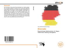 Capa do livro de Bienrode 