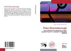 Copertina di Peter Downsborough