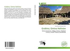 Portada del libro de Grabina, Gmina Halinów