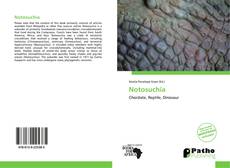 Bookcover of Notosuchia