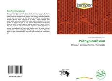 Portada del libro de Pachypleurosaur