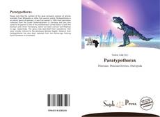 Capa do livro de Paratypothorax 