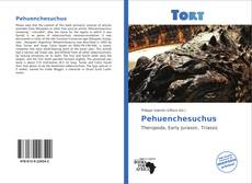 Capa do livro de Pehuenchesuchus 