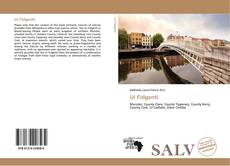 Bookcover of Uí Fidgenti