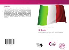 Bookcover of Uí Briúin