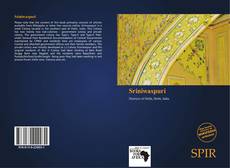 Couverture de Sriniwaspuri