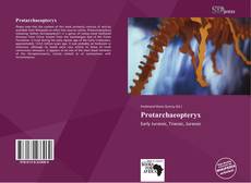 Buchcover von Protarchaeopteryx