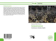 Capa do livro de Sanjuansaurus 