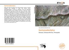 Portada del libro de Santanadactylus