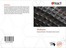 Bookcover of Shokawa