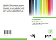 Bookcover of Wenshan City