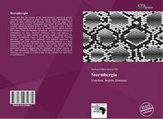 Bookcover of Stormbergia