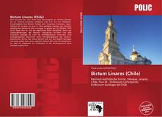 Bookcover of Bistum Linares (Chile)