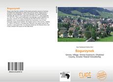 Buchcover von Bogurzynek