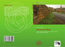 Bookcover of Brzozowo-Maje