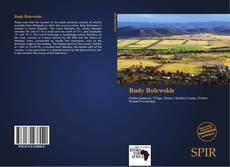 Bookcover of Budy Bolewskie