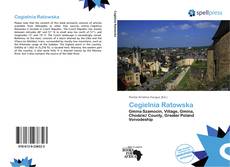 Buchcover von Cegielnia Ratowska