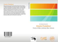 Buchcover von Vizzolo Predabissi