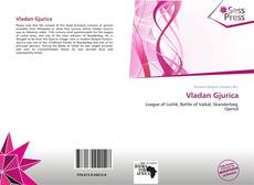 Portada del libro de Vladan Gjurica