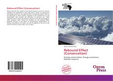 Portada del libro de Rebound Effect (Conservation)