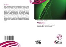 Buchcover von Vladaya