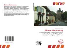 Bookcover of Bistum Maramureș