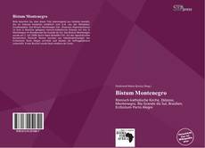 Bookcover of Bistum Montenegro