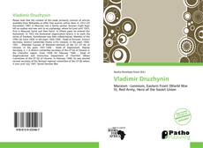 Capa do livro de Vladimir Druzhynin 