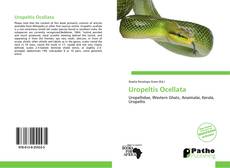 Uropeltis Ocellata kitap kapağı