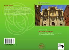 Bookcover of Bistum Nantes