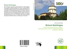 Bookcover of Bistum Natitingou