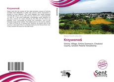 Couverture de Krzywonoś