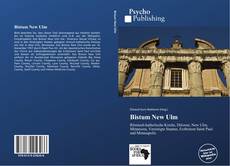 Bookcover of Bistum New Ulm