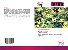 Archespor的封面