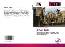 Bookcover of Bistum Opole