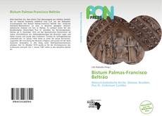 Bistum Palmas-Francisco Beltrão的封面