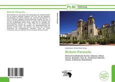 Buchcover von Bistum Paracatu