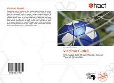 Portada del libro de Vladimir Gudelj