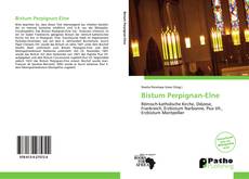 Bistum Perpignan-Elne kitap kapağı