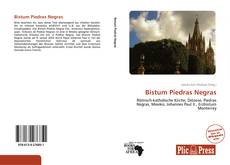 Capa do livro de Bistum Piedras Negras 