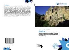 Bookcover of Andzin