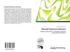 Capa do livro de Ronald Gamarra Herrera 