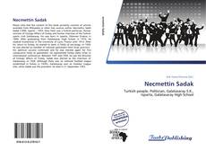 Necmettin Sadak kitap kapağı