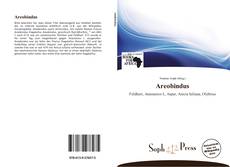 Couverture de Areobindus